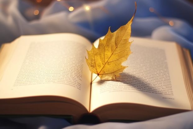 丽江师范学院学费一年多少钱