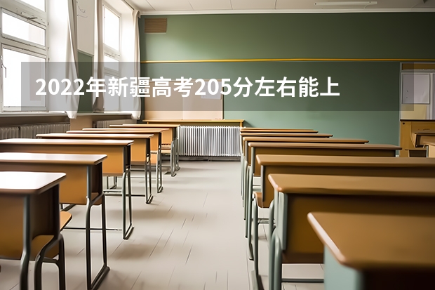 2022年新疆高考205分左右能上什么样的大学