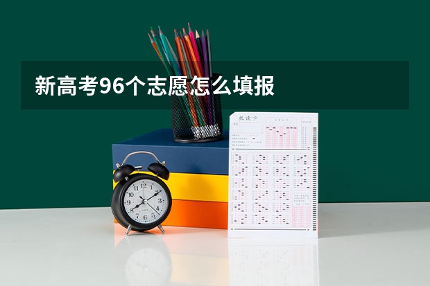 新高考96个志愿怎么填报