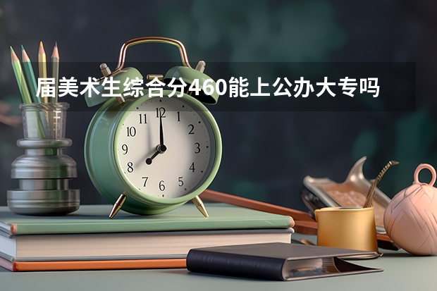 届美术生综合分460能上公办大专吗？[河北省以外的，中上游公办大专]