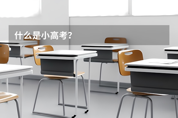 什么是小高考？