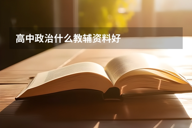 高中政治什么教辅资料好