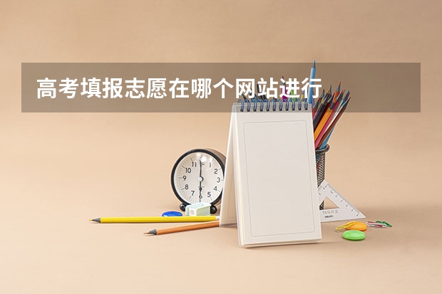 高考填报志愿在哪个网站进行