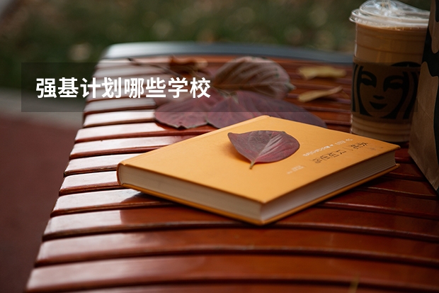 强基计划哪些学校