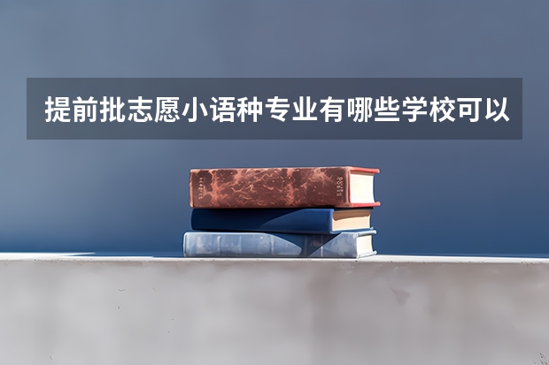 提前批志愿小语种专业有哪些学校可以报？在哪查询？