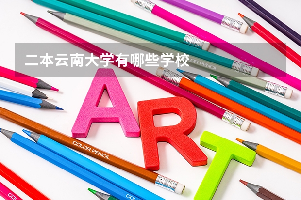 二本云南大学有哪些学校