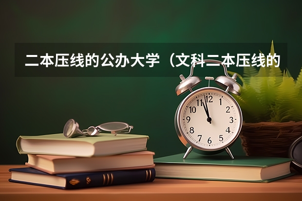 二本压线的公办大学（文科二本压线的公办大学）
