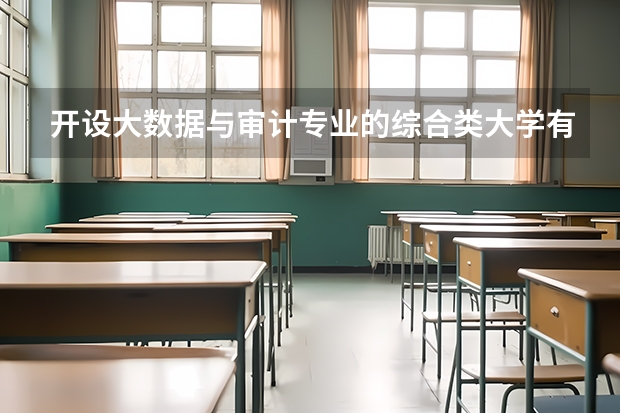 开设大数据与审计专业的综合类大学有哪些