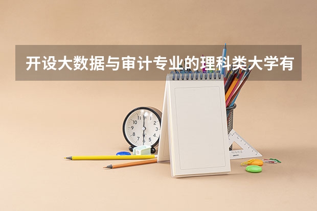开设大数据与审计专业的理科类大学有哪些