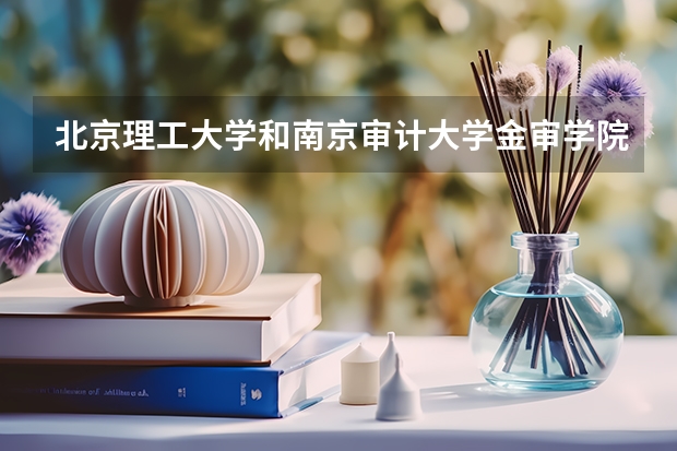 北京理工大学和南京审计大学金审学院哪个好(近三年录取分数线汇总)
