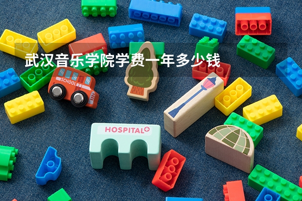 武汉音乐学院学费一年多少钱