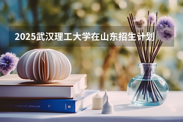 2025武汉理工大学在山东招生计划预测