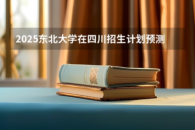 2025东北大学在四川招生计划预测
