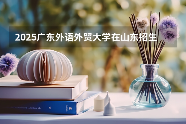 2025广东外语外贸大学在山东招生计划预测