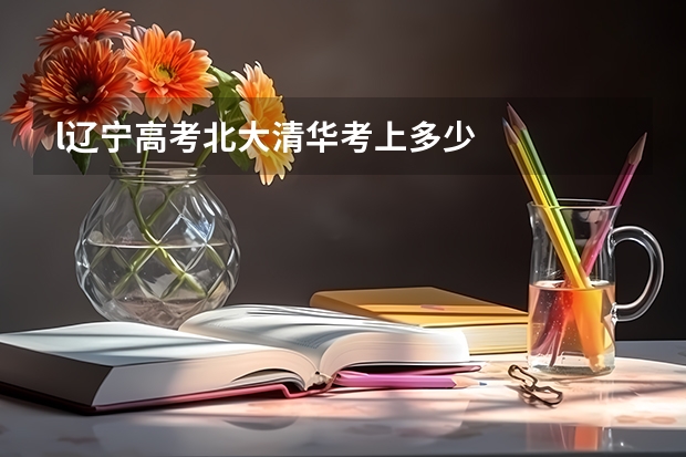 l辽宁高考北大清华考上多少