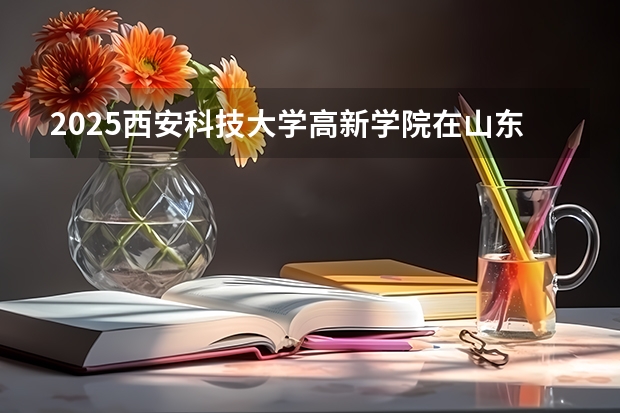 2025西安科技大学高新学院在山东招生计划预测