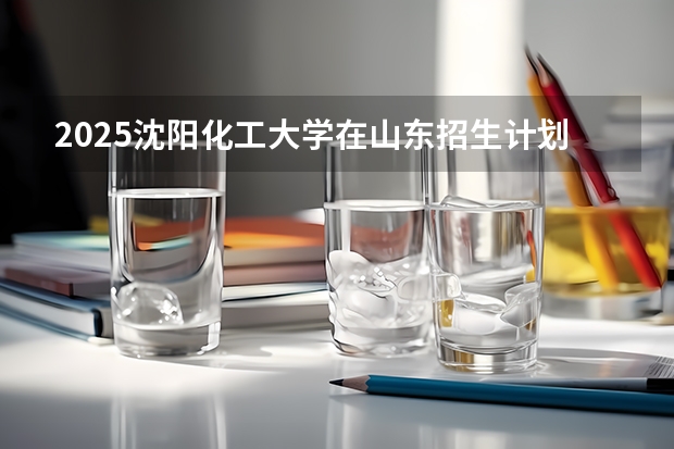 2025沈阳化工大学在山东招生计划预测