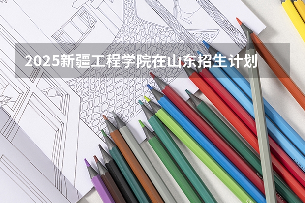 2025新疆工程学院在山东招生计划预测
