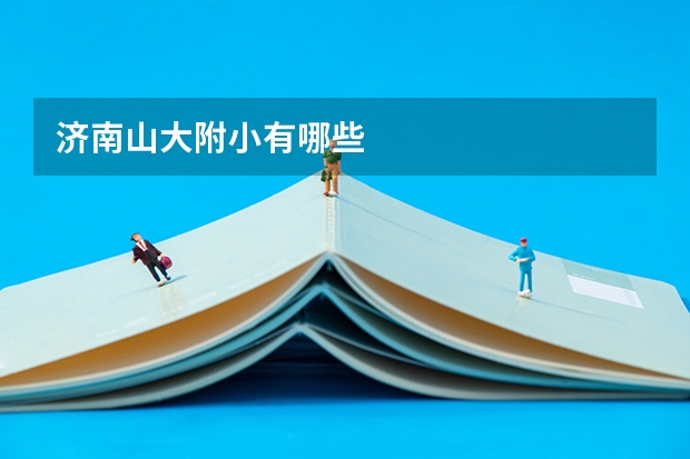 济南山大附小有哪些