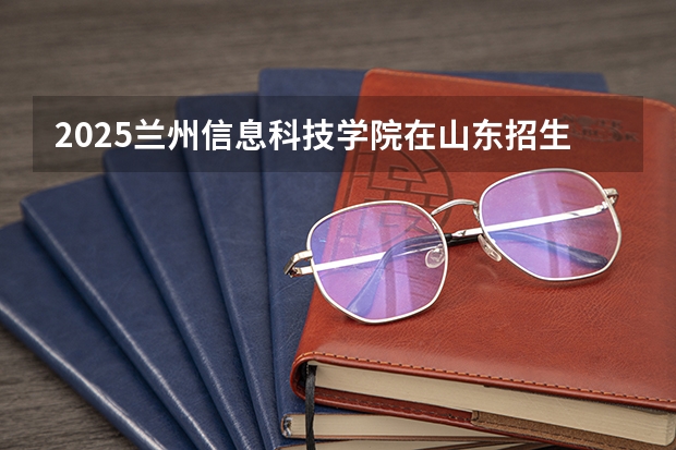 2025兰州信息科技学院在山东招生计划预测