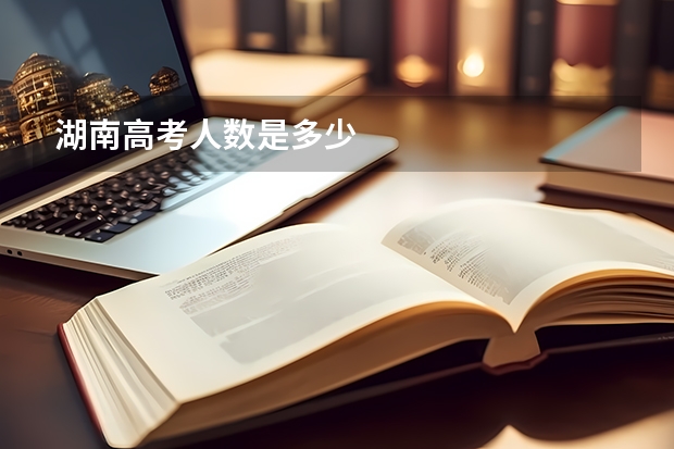 湖南高考人数是多少