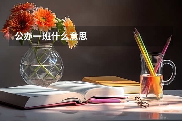公办一班什么意思