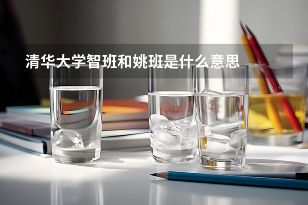 清华大学智班和姚班是什么意思