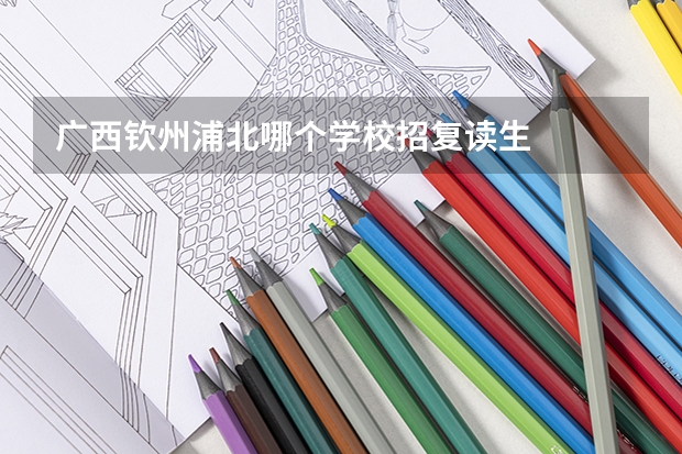 广西钦州浦北哪个学校招复读生