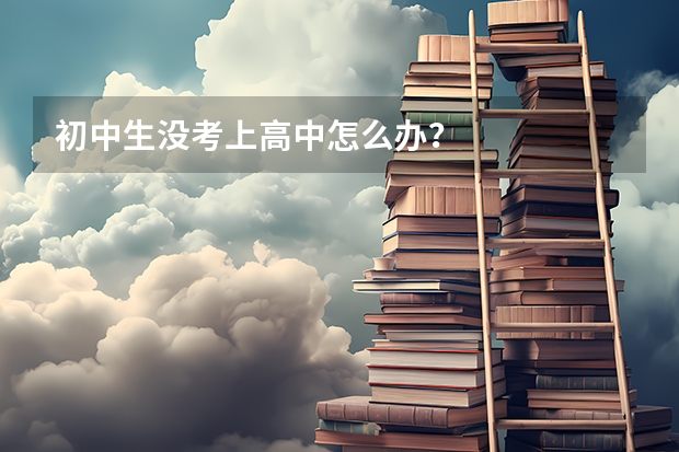 初中生没考上高中怎么办？