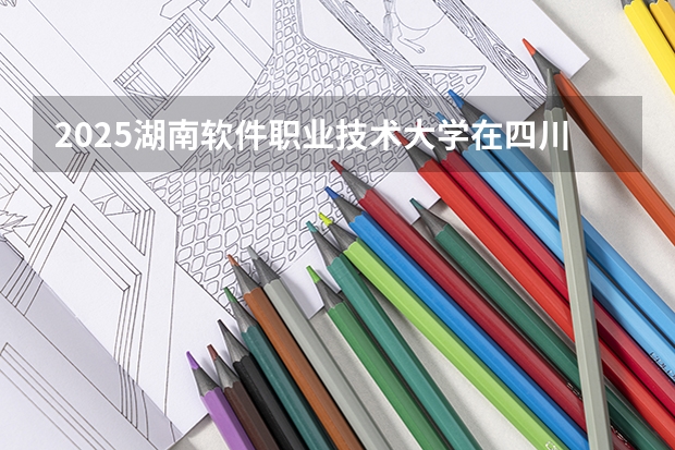 2025湖南软件职业技术大学在四川招生计划预测