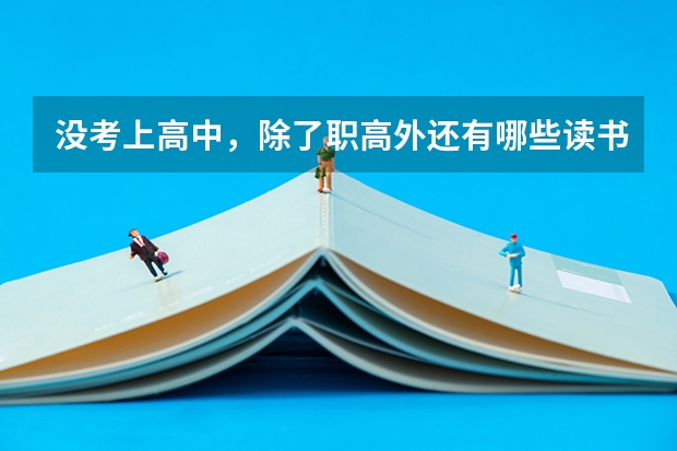 没考上高中，除了职高外还有哪些读书的途径？