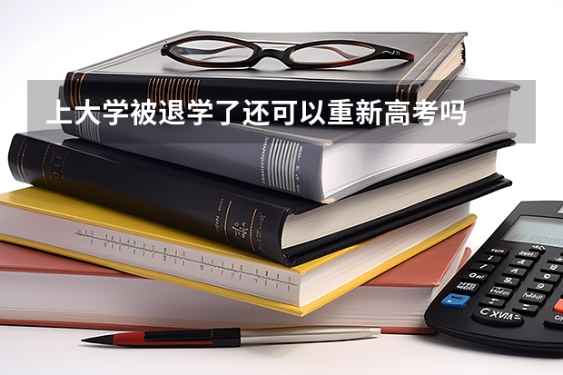 上大学被退学了还可以重新高考吗