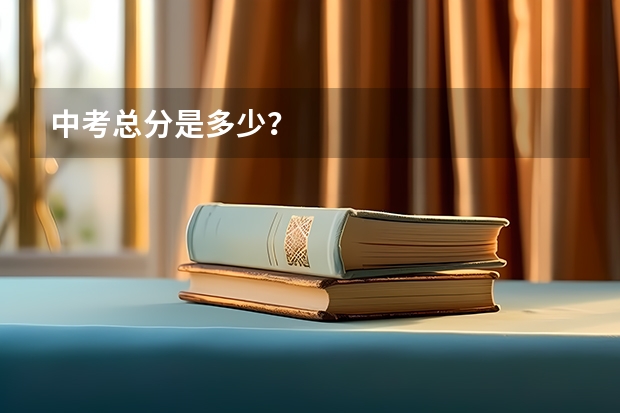 中考总分是多少？