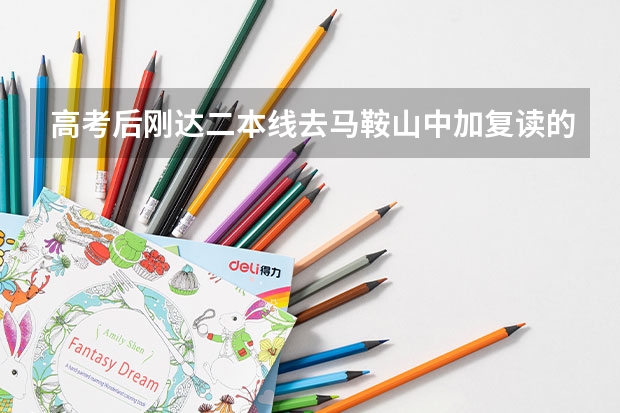 高考后刚达二本线去马鞍山中加复读的总费用是多少。