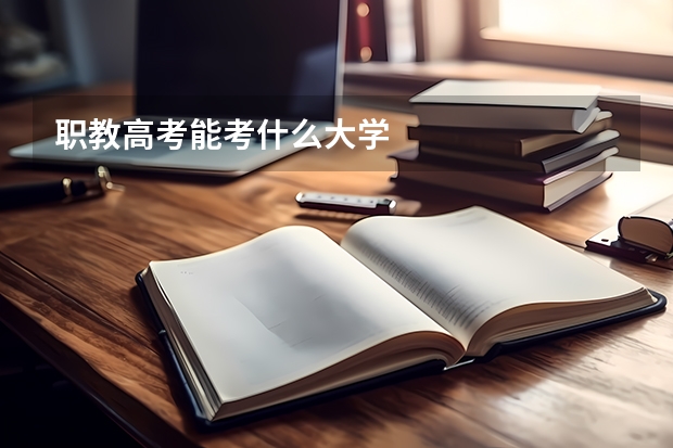 职教高考能考什么大学