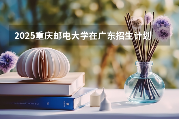 2025重庆邮电大学在广东招生计划人数