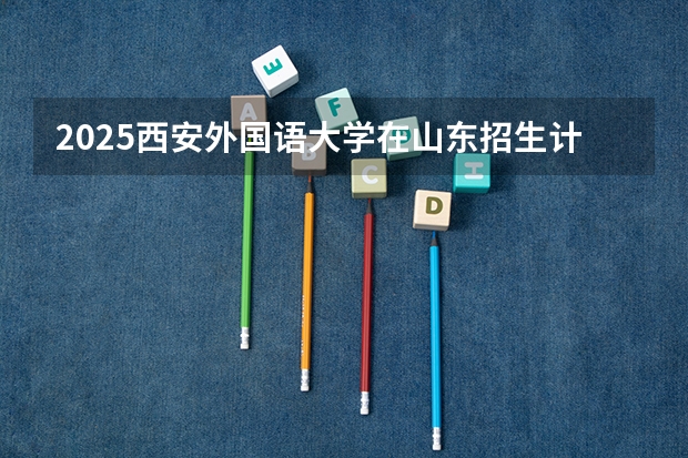 2025西安外国语大学在山东招生计划人数