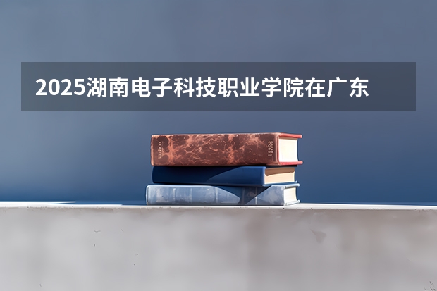 2025湖南电子科技职业学院在广东招生计划人数