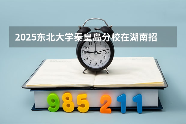 2025东北大学秦皇岛分校在湖南招生计划人数
