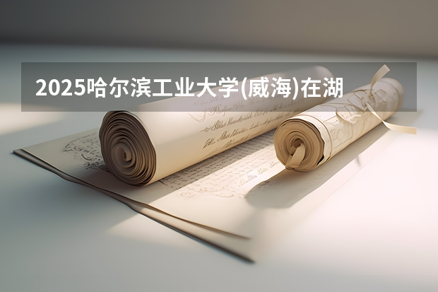 2025哈尔滨工业大学(威海)在湖南招生计划人数