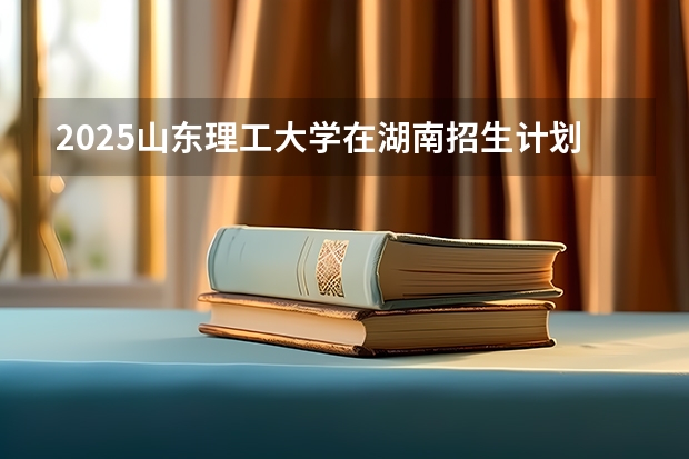 2025山东理工大学在湖南招生计划人数