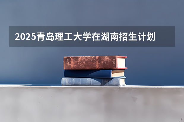 2025青岛理工大学在湖南招生计划人数