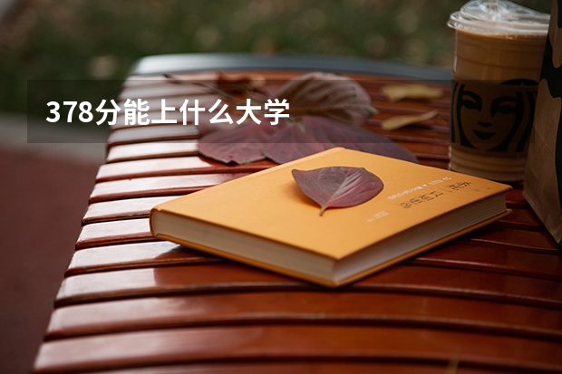378分能上什么大学