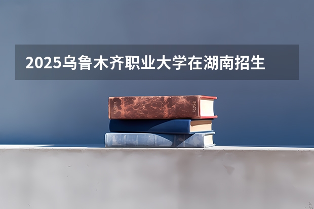 2025乌鲁木齐职业大学在湖南招生计划人数