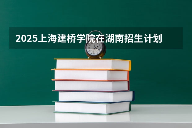 2025上海建桥学院在湖南招生计划人数