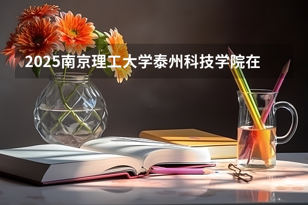 2025南京理工大学泰州科技学院在安徽招生计划人数