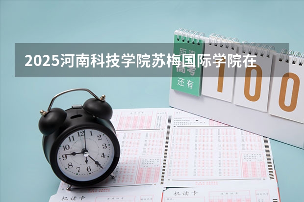 2025河南科技学院苏梅国际学院在河南招生计划人数