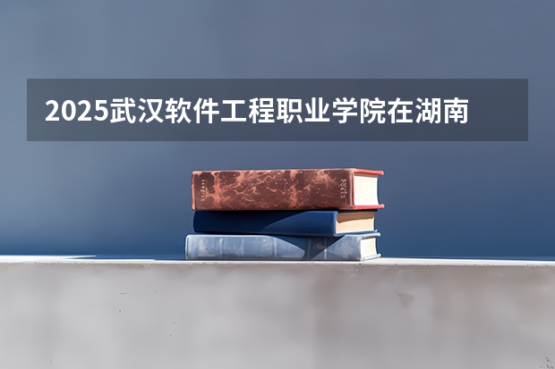 2025武汉软件工程职业学院在湖南招生计划人数