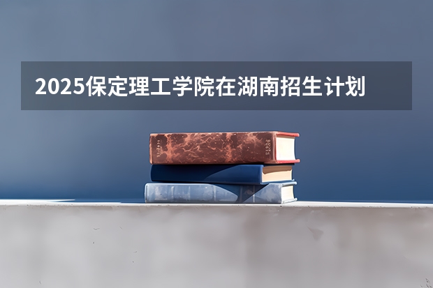 2025保定理工学院在湖南招生计划人数