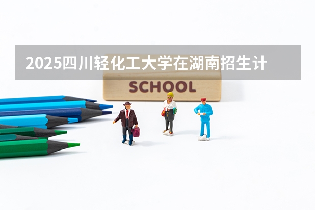 2025四川轻化工大学在湖南招生计划人数